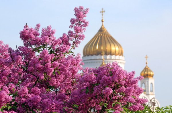 Пасха Церковь Покрова на Нерли
