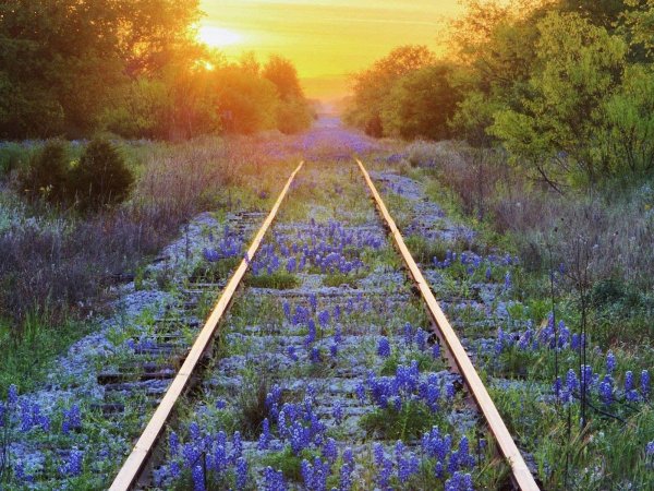 Весенняя железная дорога