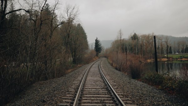 Старая железная дорога в лесу