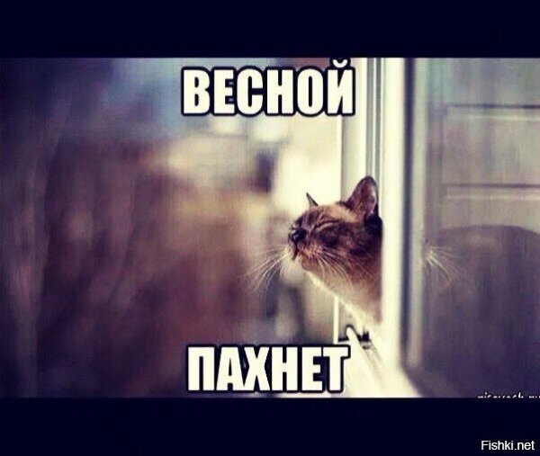 Запах весны