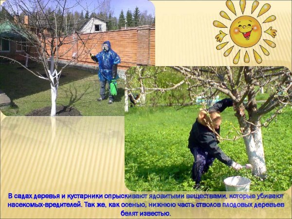 Занятия людей осенью