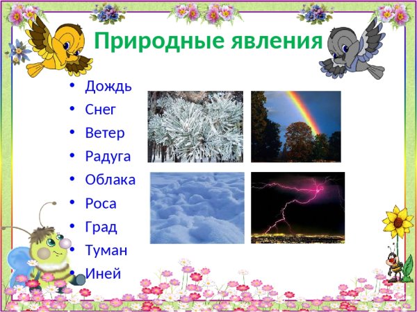 Природные явления