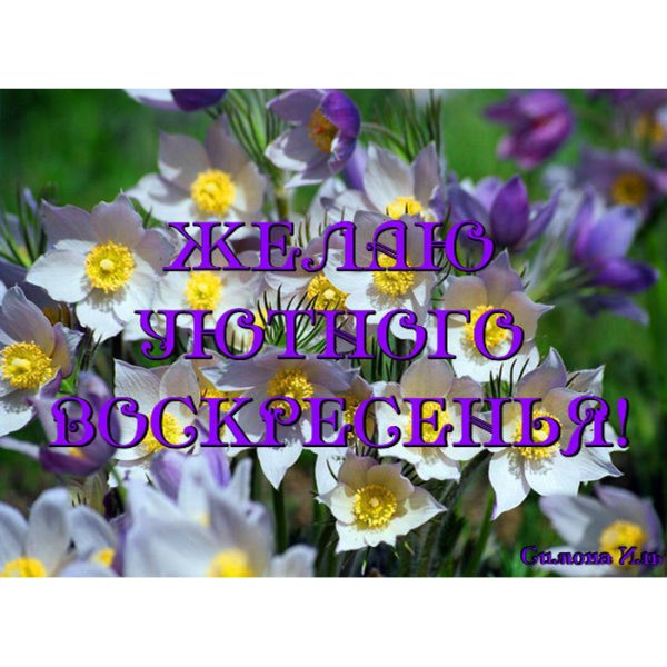 Доброе утро воскресенье Весна