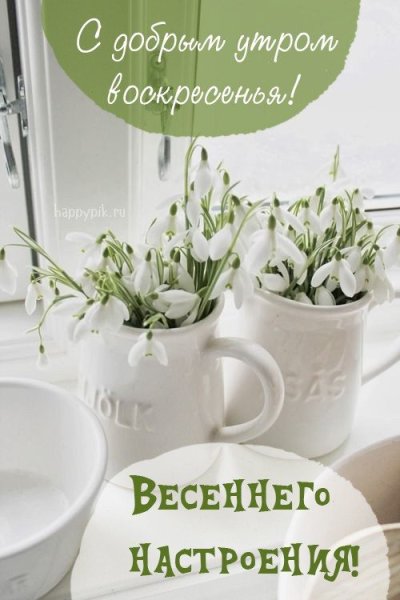Доброго весеннего дня
