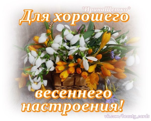 Добрейшего утречка и хорошего денечка