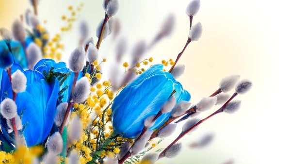 Доброго весеннего дня прикольные