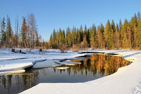 Весна в Сибири