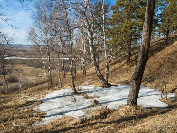Сибирь весной