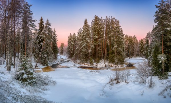 Лесная речка зимой