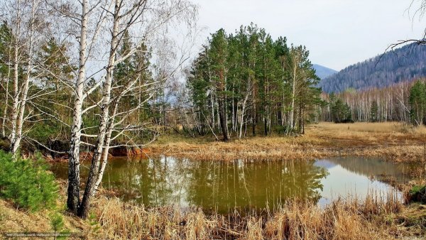 Весна лес река