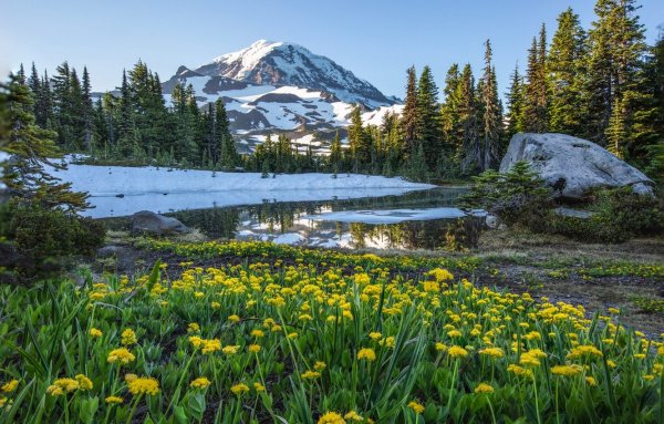 Mount Rainier National Park гора.