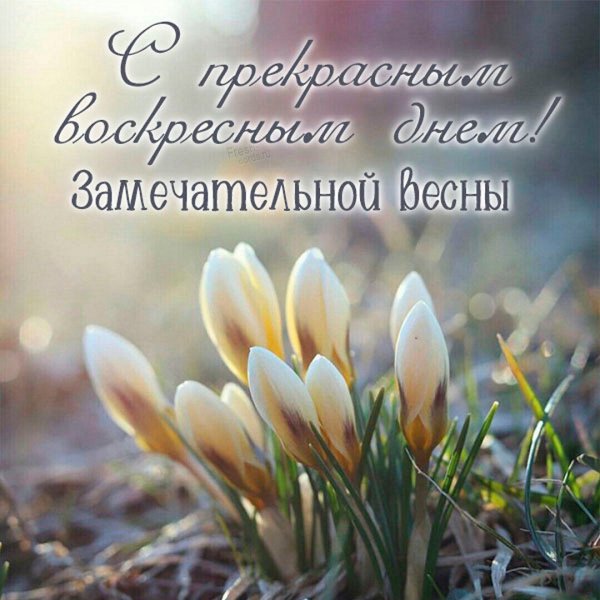 Доброго весеннего дня