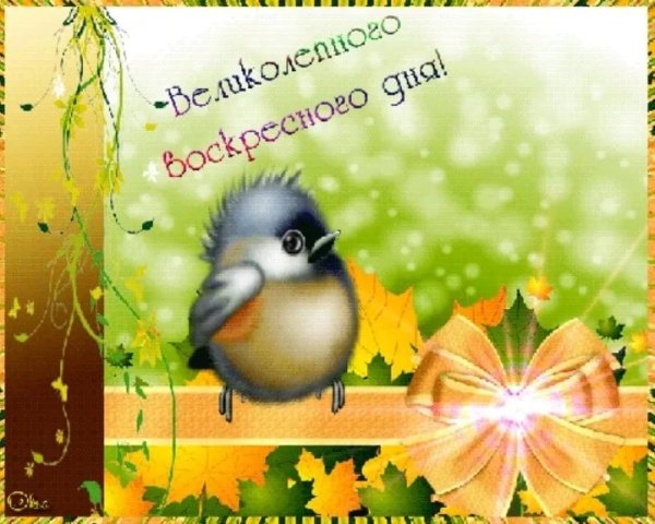 Открытки хорошего воскресенья