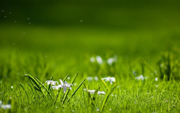 Пейзажи природы