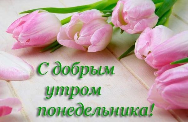 С добрым утром понедельника