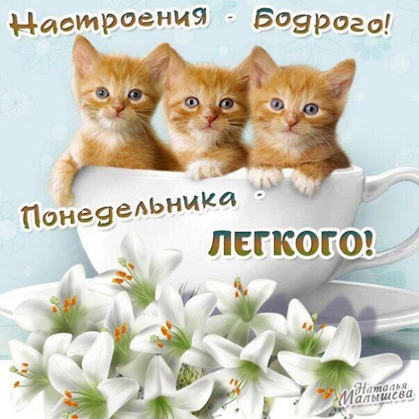 Доброго весеннегопонедеоьника