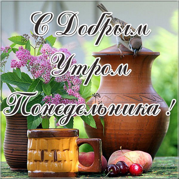 Доброго весеннего понедельника