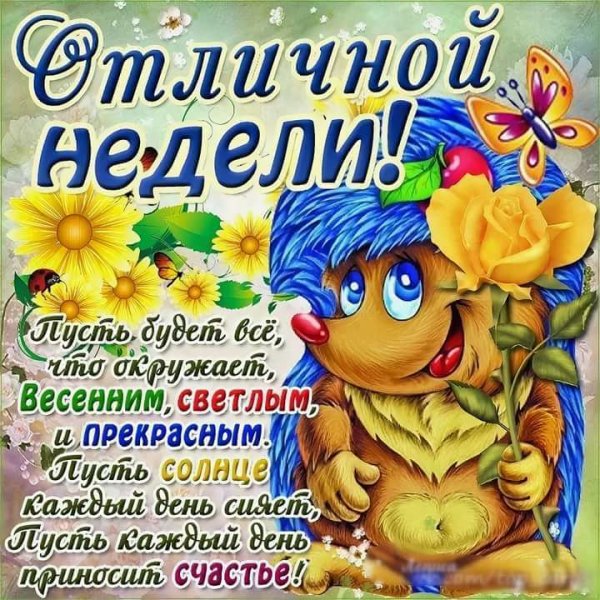 Корзина цветов на прозрачном фоне