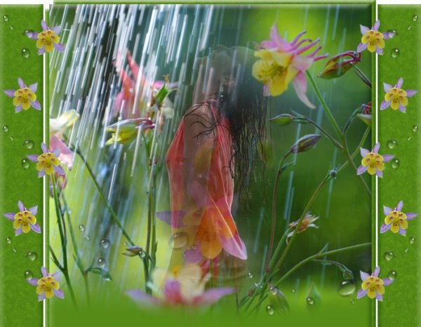 Пасмурное летнее утро