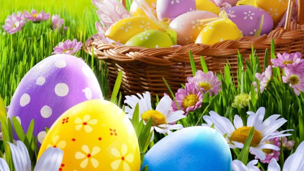 Пасхальные цветы