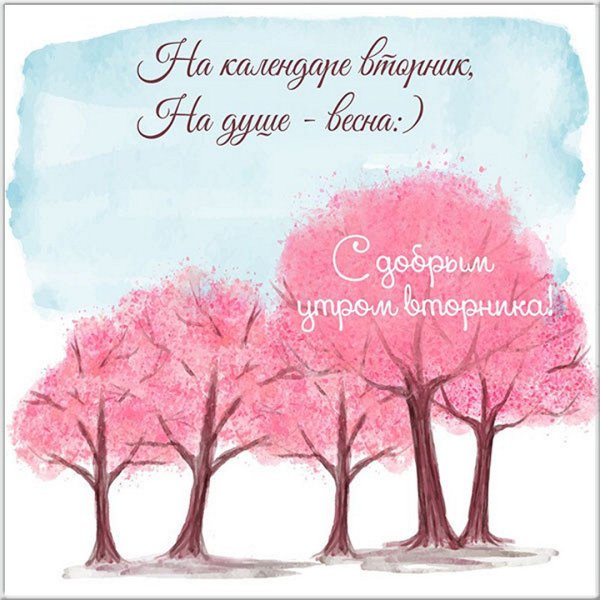 Вторник цитаты