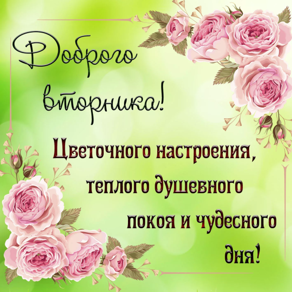 Доброго вторника