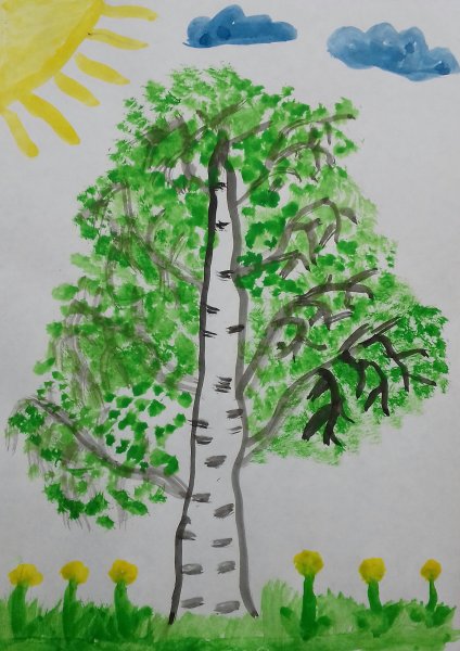 Рисование березы в средней группе