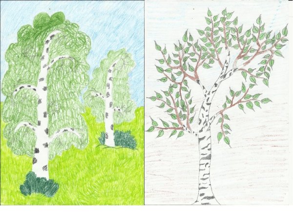 Береза мультяшная