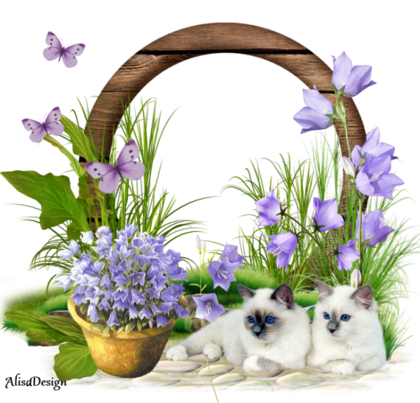 Доброго вторника