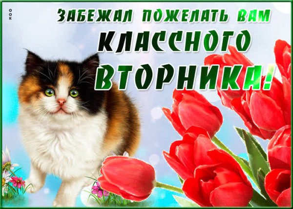 Добпое утро и удачного дн