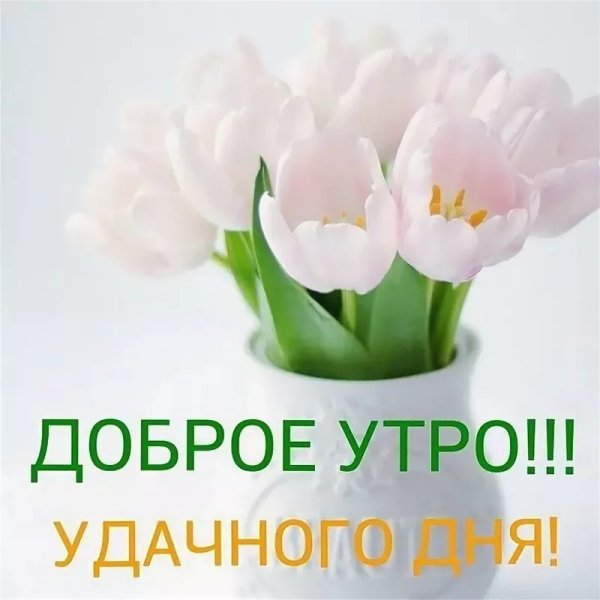 Открытки со вторником