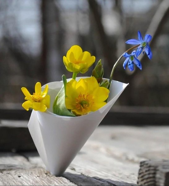 Прекрасного весеннего дня