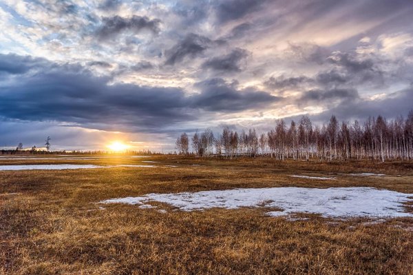Ранняя Весна в поле