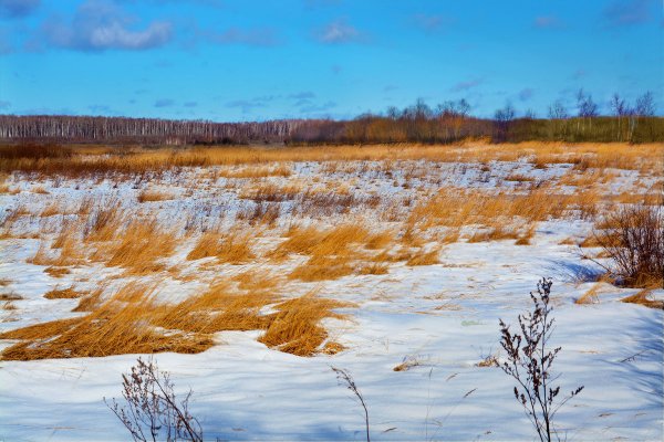 Поле ранней весной
