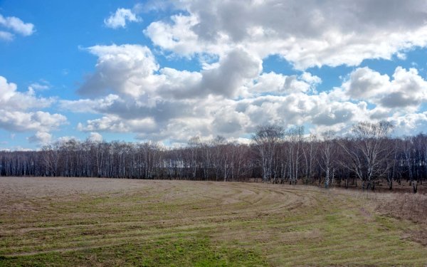 Поле ранней весной