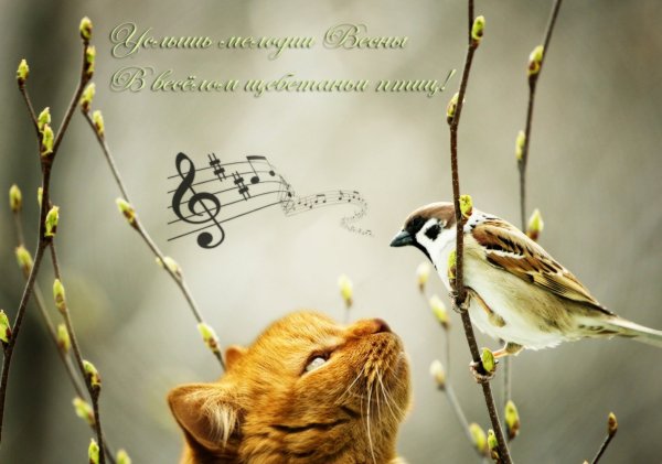 Доброготвесеннего дня!