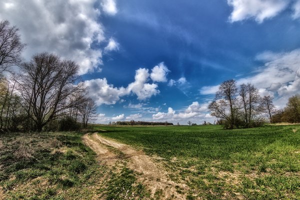 Апрельское поле