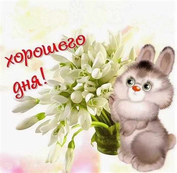 Открытки с добрым утром весенние природа