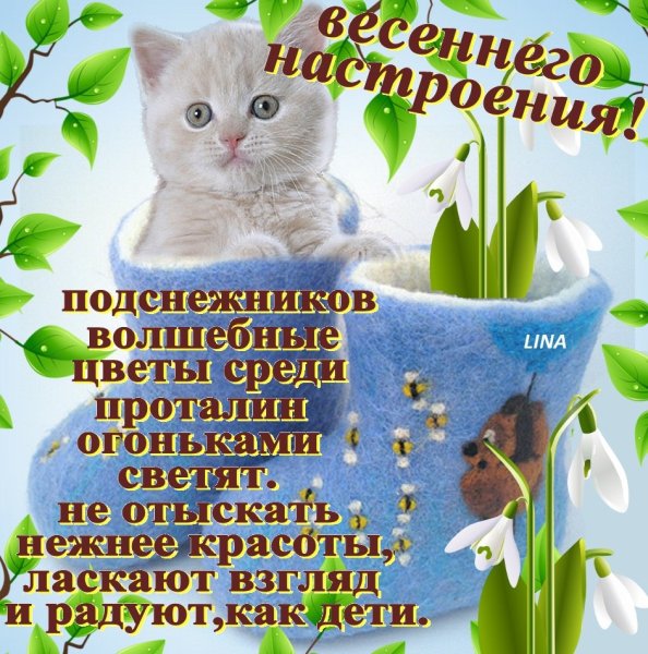 Смешные поздравления с весной