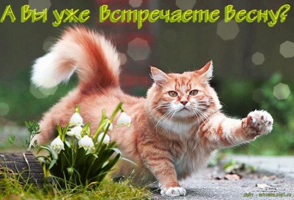 Поздравления с наступающей весной