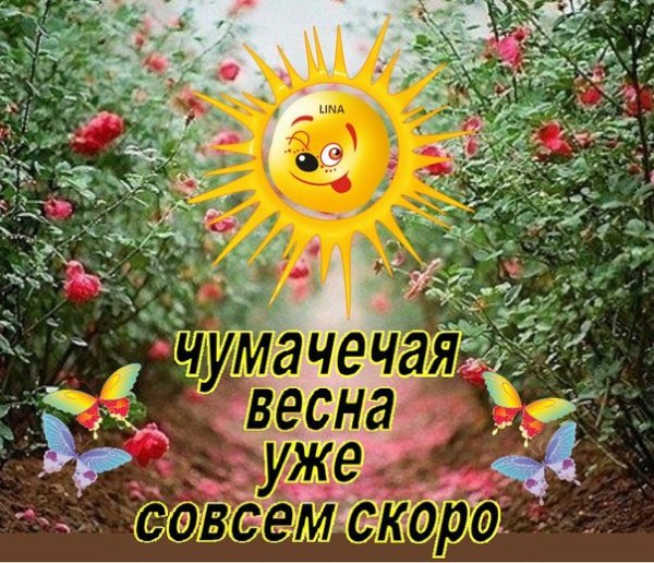 Кот ждет весну