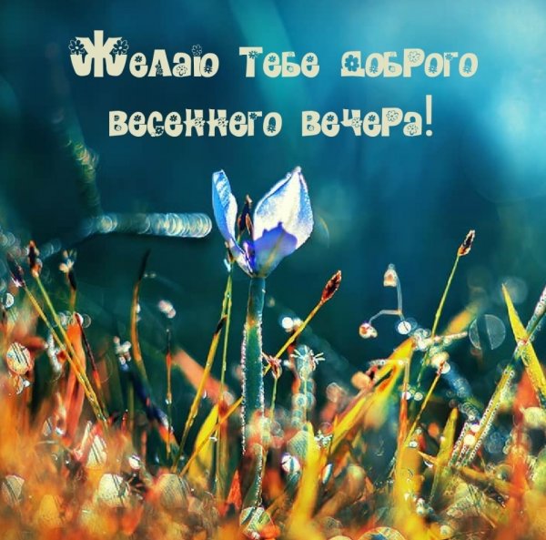 Прекрасного весеннего вечера