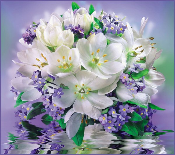 Тюльпаны открытка