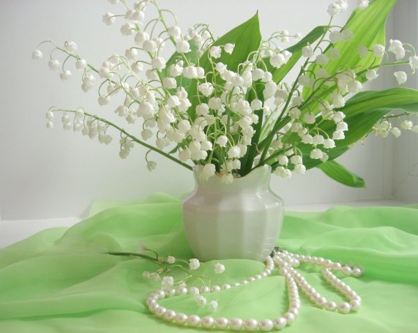 Поздравляем с днем рождения цветы