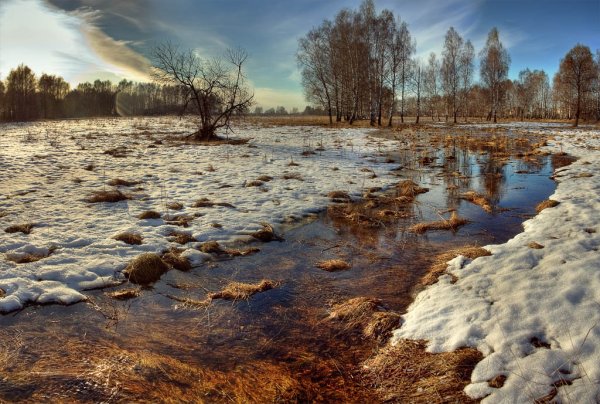 Весна тает снег