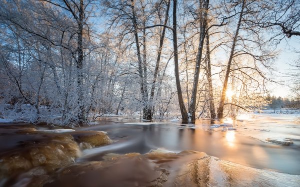 Красивая ранняя Весна