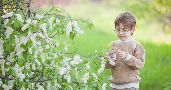 Дети строят скворечник