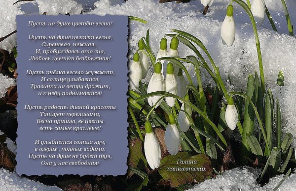 Стихи о весне красивые