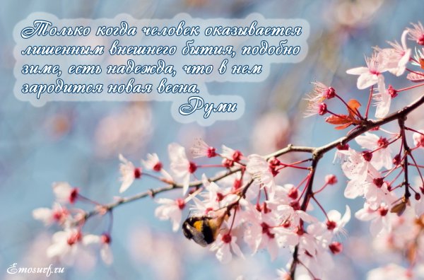 Стихотворение на тему Весна