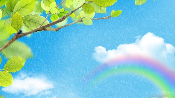 Признаки весны для дошкольников